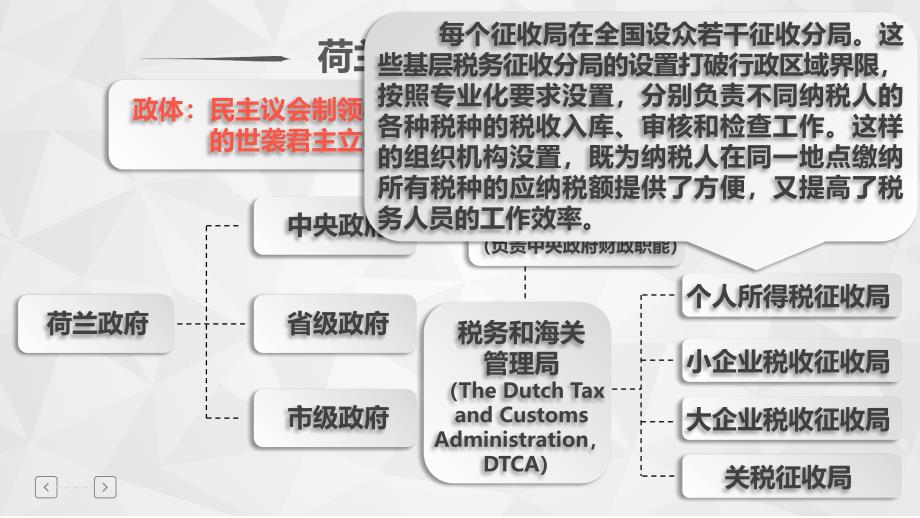 荷兰税收风险管理教材_第4页