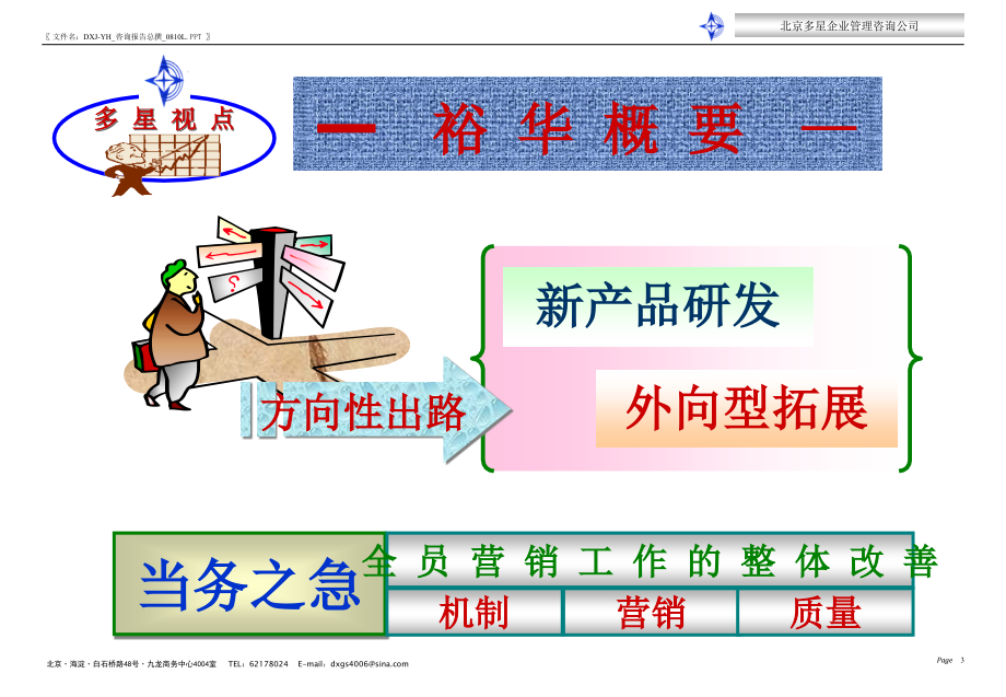 山东某公司管理咨询总括汇报_第3页