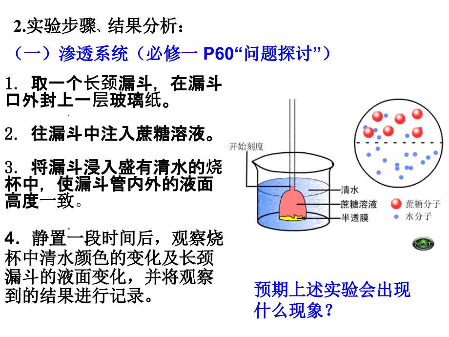 实验5通过模拟实验探究膜的透性资料_第4页