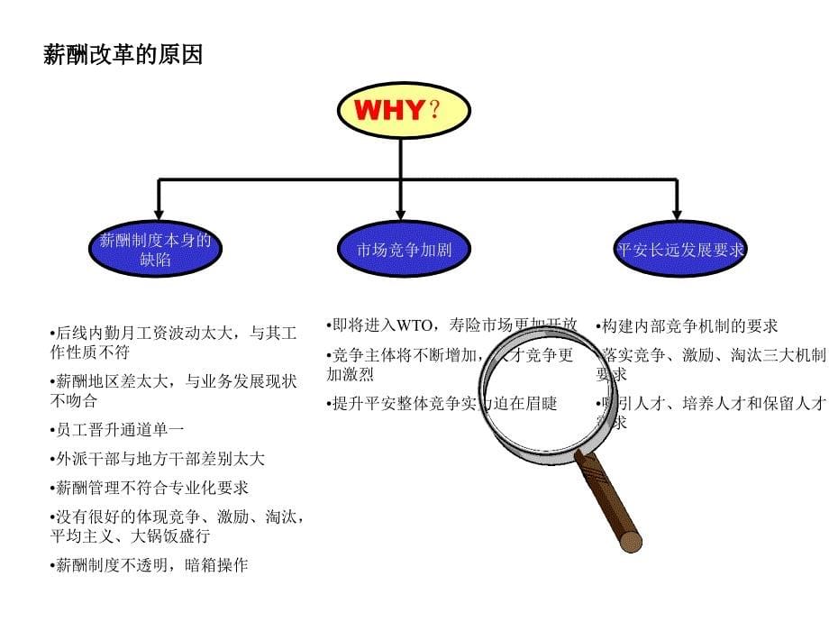 麦肯锡中国某大型保险公司薪酬改革咨询报告_第5页