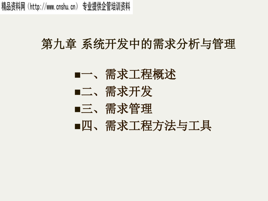 系统开发的需求与管理分析报告_第1页