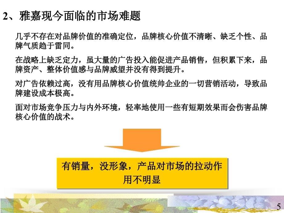 雅嘉品牌整合策略研究报告_第5页