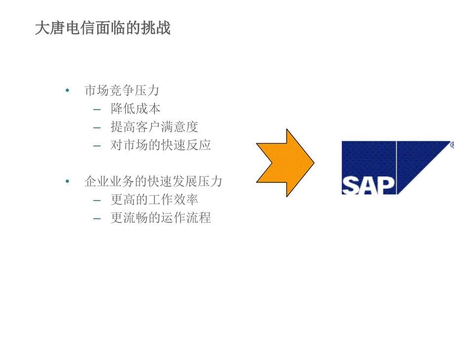 sap系统实施项目建议书范本 _第5页