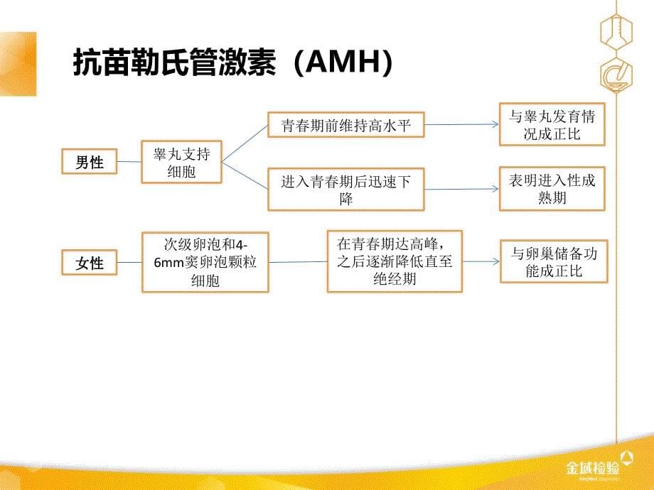 抗苗勒氏管激素生理基础及临床应用资料_第5页