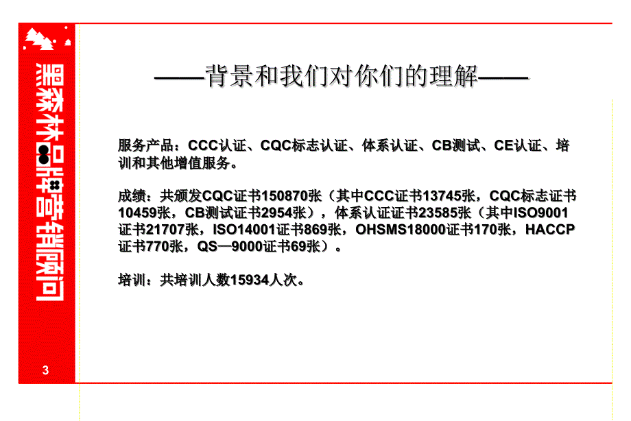 cqc项目建议书讲义_第3页