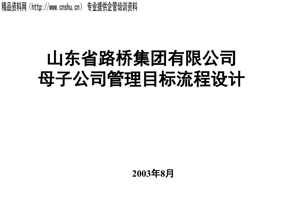 某母子公司管理目标流程规划方案_第1页