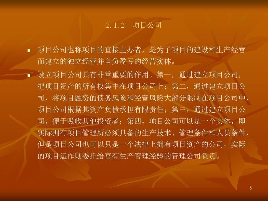 工程项目融资的参与人和融资市场概述_第5页