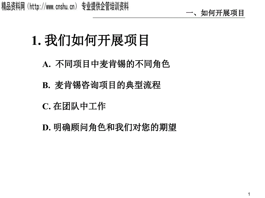 我们该如何开展项目_第2页