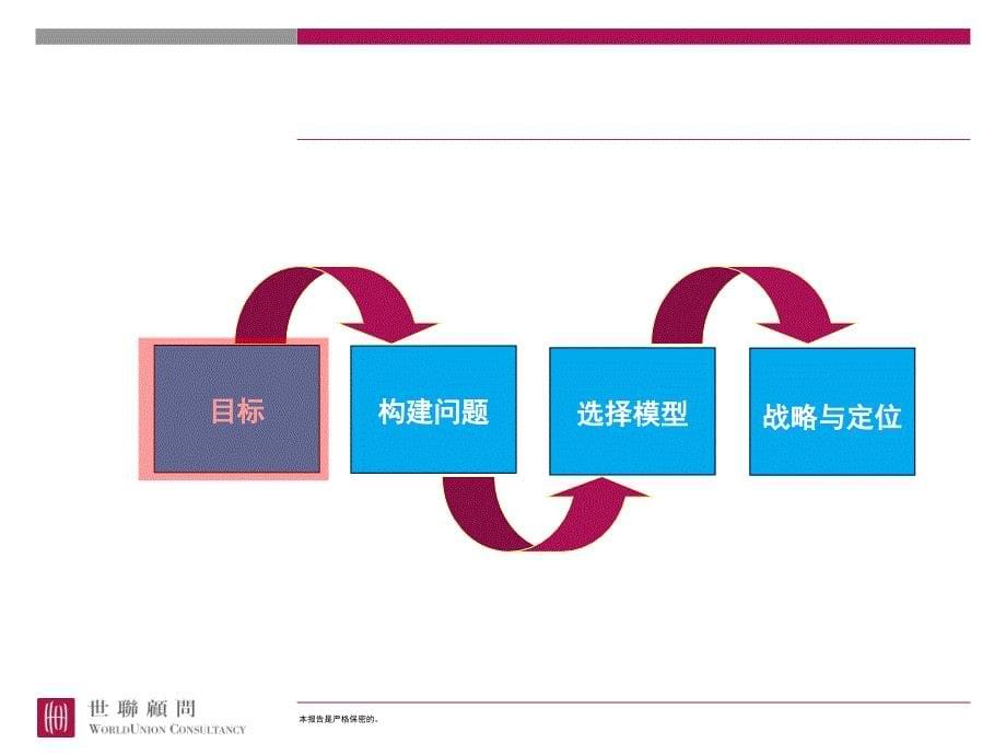 项目战略与定位报告_第5页