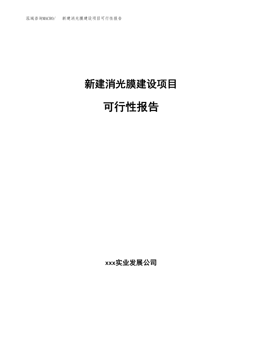 新建消光膜建设项目可行性报告模板_第1页