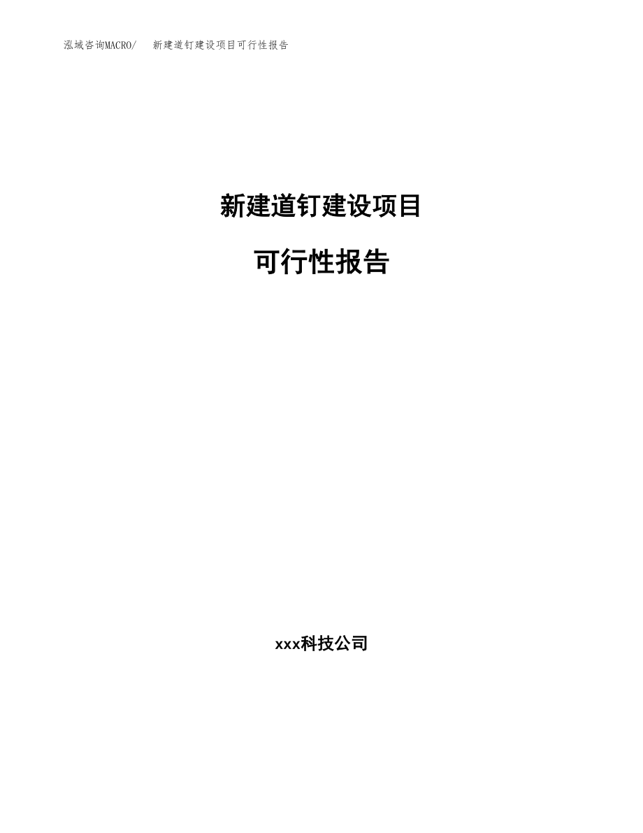 新建道钉建设项目可行性报告模板_第1页