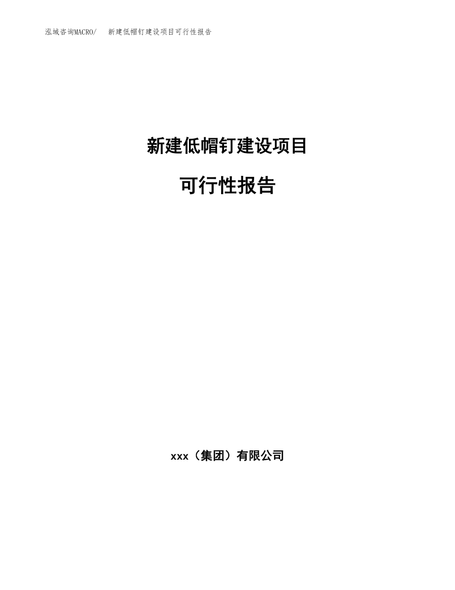 新建低帽钉建设项目可行性报告模板_第1页