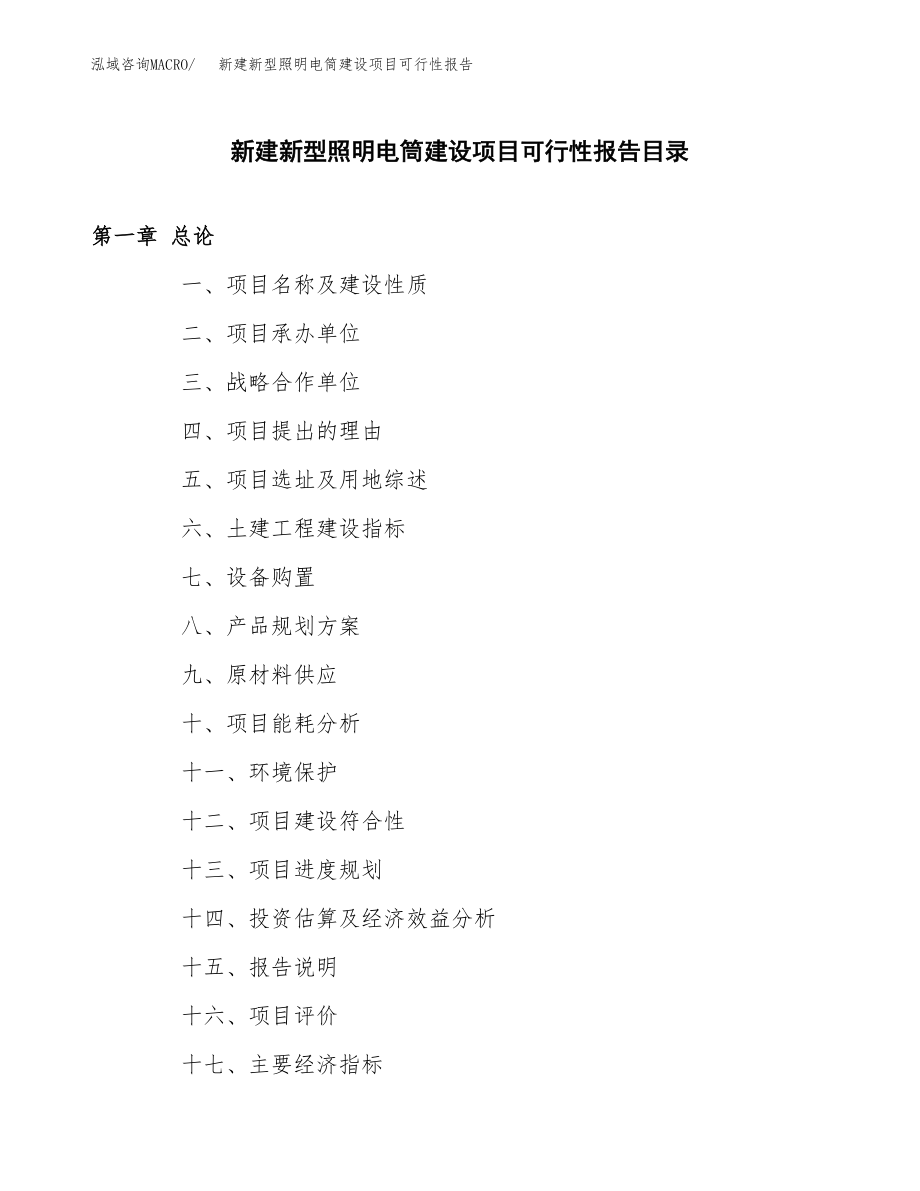 新建新型照明电筒建设项目可行性报告模板_第3页