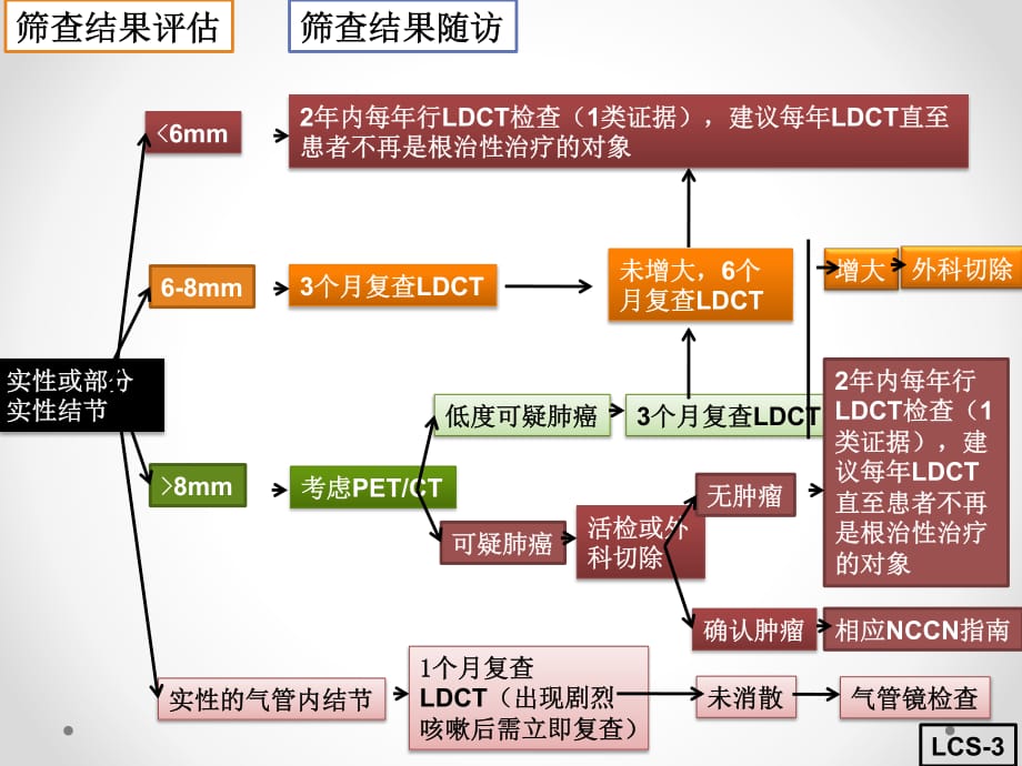 nccn肺癌筛查指南流程图_第4页