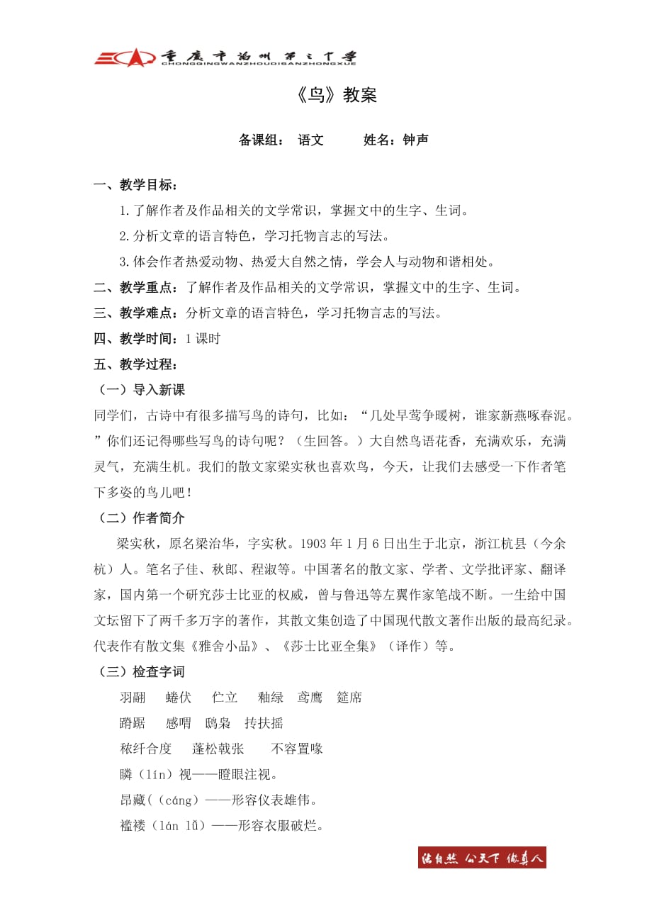 《鸟》经典教案_第1页