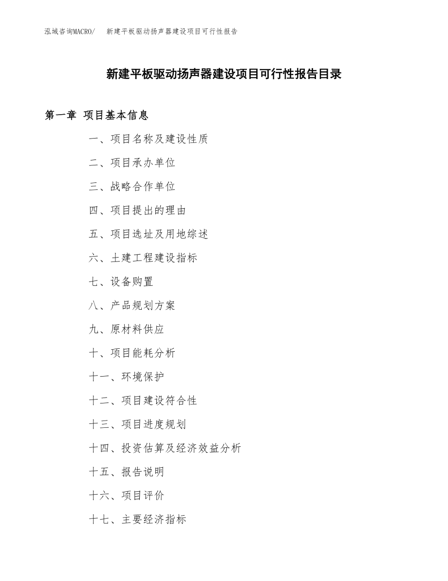 新建平板驱动扬声器建设项目可行性报告模板_第3页