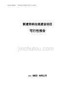 新建特种光缆建设项目可行性报告模板
