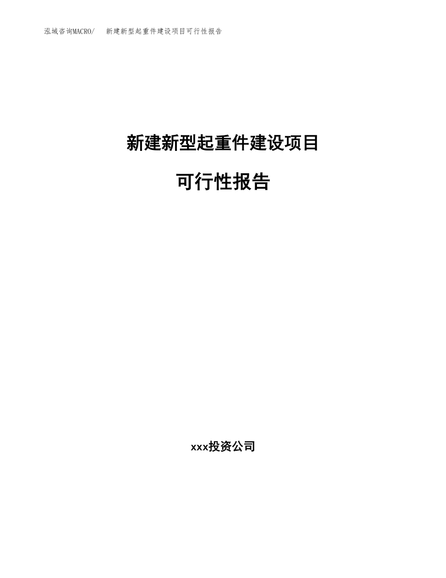 新建新型起重件建设项目可行性报告模板_第1页