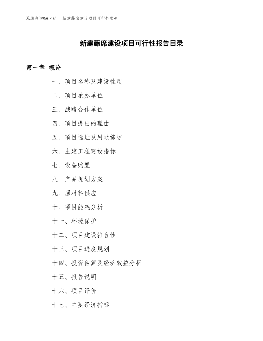 新建藤席建设项目可行性报告模板_第3页