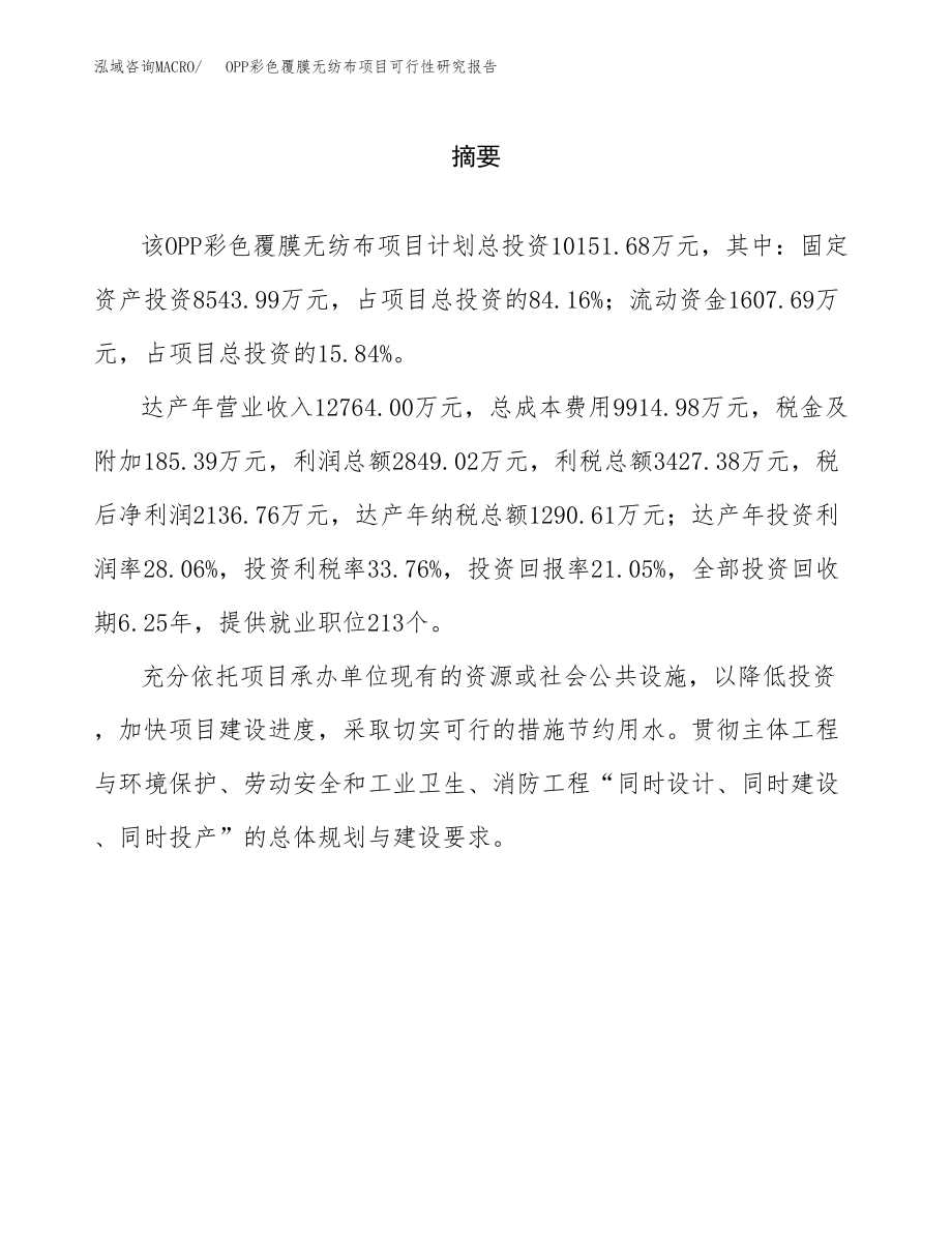 OPP彩色覆膜无纺布项目可行性研究报告（总投资10000万元）.docx_第2页