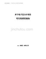 井下电子压力计项目可行性研究报告（总投资9000万元）.docx