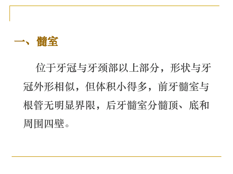 牙体髓腔解剖系统开髓资料_第4页