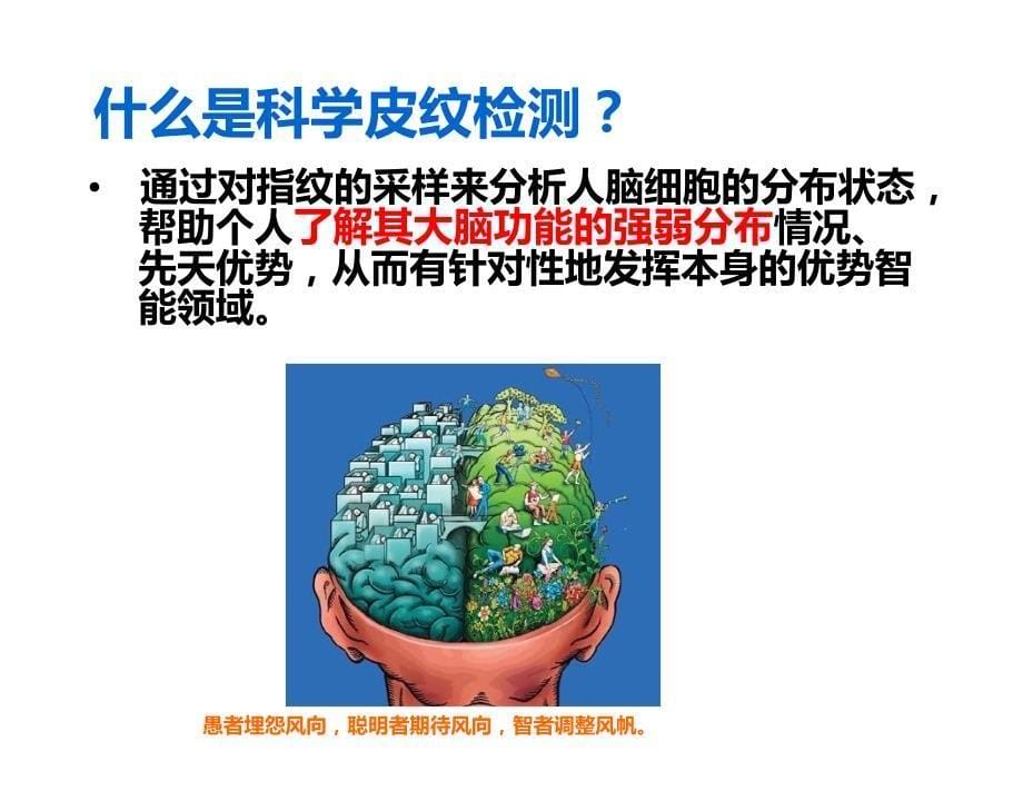 皮纹原理：皮纹心理学教程资料_第5页