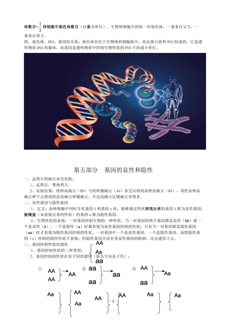 初中生物基础知识要点复习_第3页