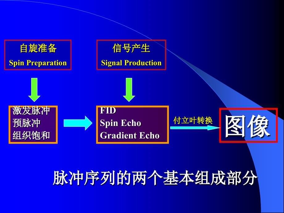 磁共振成像序列及应用-杨正汉ppt资料_第5页