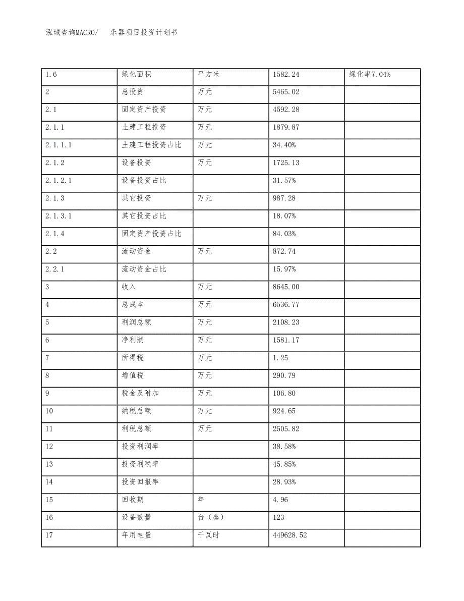 乐器项目投资计划书(规划建设方案).docx_第5页