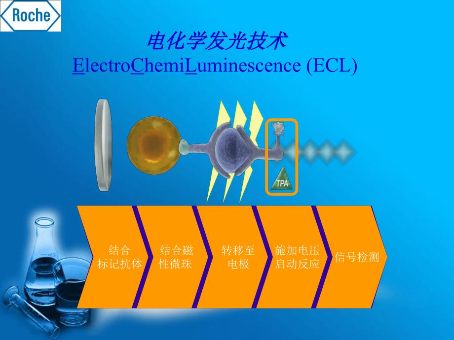 电化学发光原理及优势_第3页