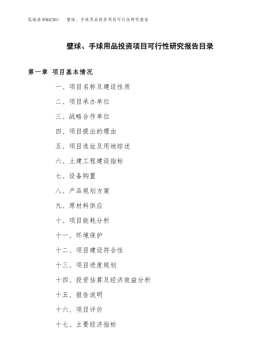 壁球、手球用品投资项目可行性研究报告（总投资17000万元）.docx_第3页