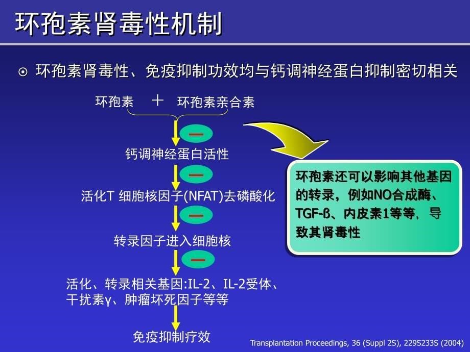 环孢素肾毒性的理性思考资料_第5页