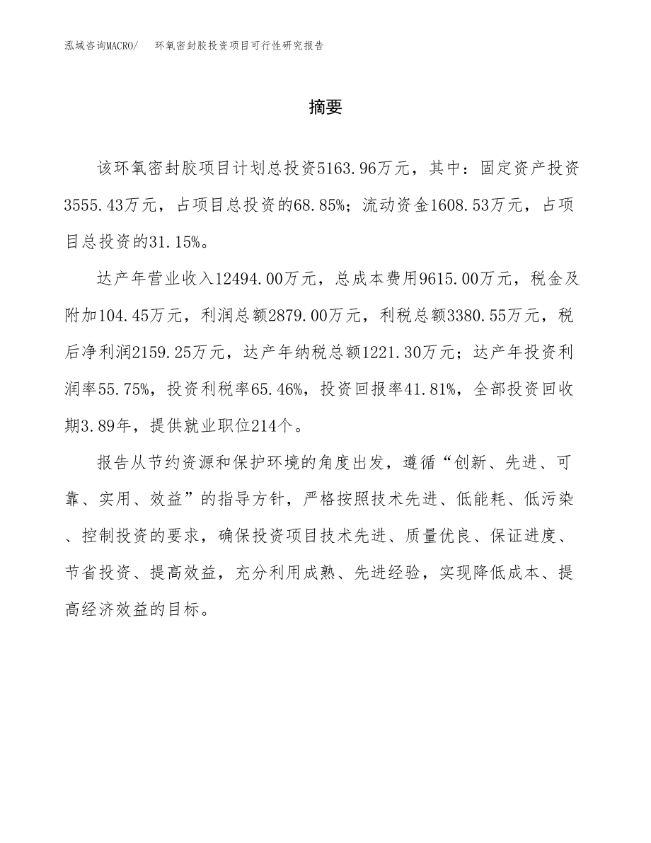 环氧密封胶投资项目可行性研究报告（总投资5000万元）.docx_第2页