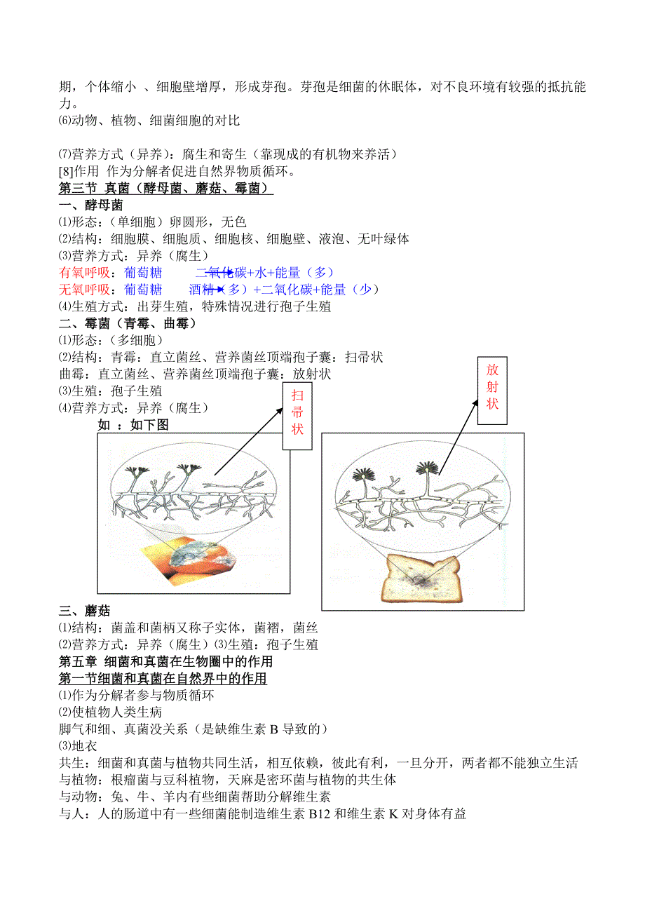 生物八年级上册知识点大全(框架+详细两部分)_第4页