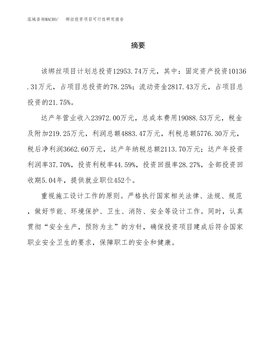 绑丝投资项目可行性研究报告（总投资13000万元）.docx_第2页