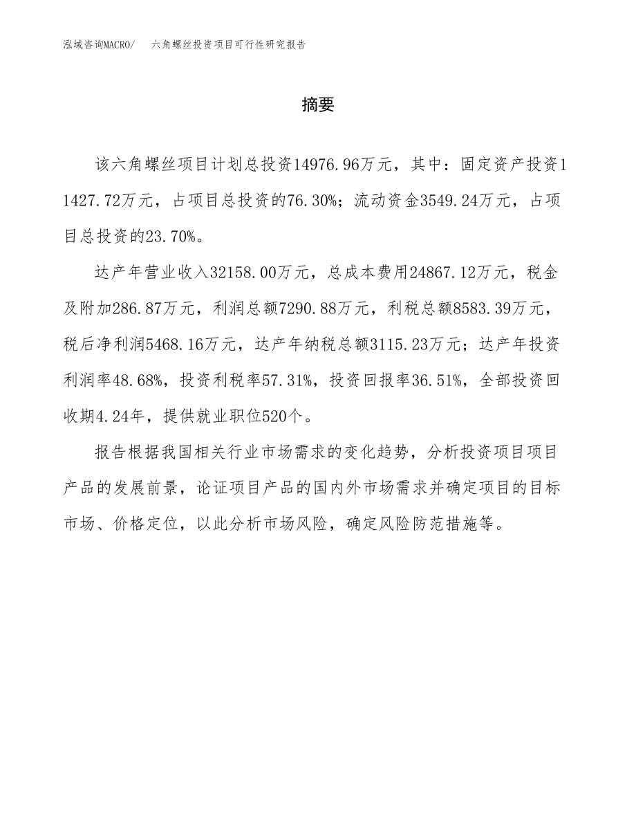 六角螺丝投资项目可行性研究报告（总投资15000万元）.docx_第2页