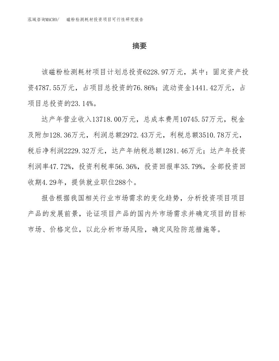 磁粉检测耗材投资项目可行性研究报告（总投资6000万元）.docx_第2页