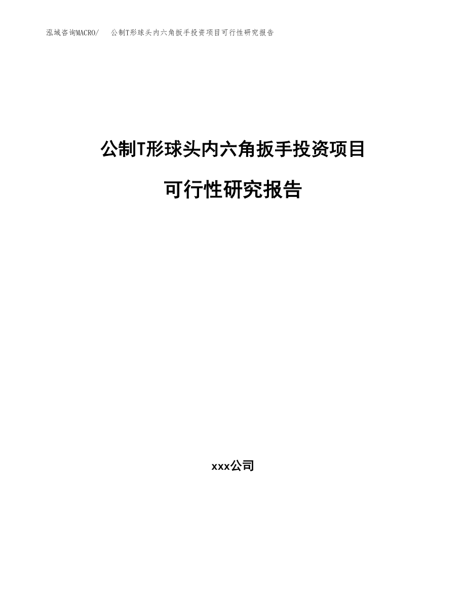 公制T形球头内六角扳手投资项目可行性研究报告（总投资10000万元）.docx_第1页