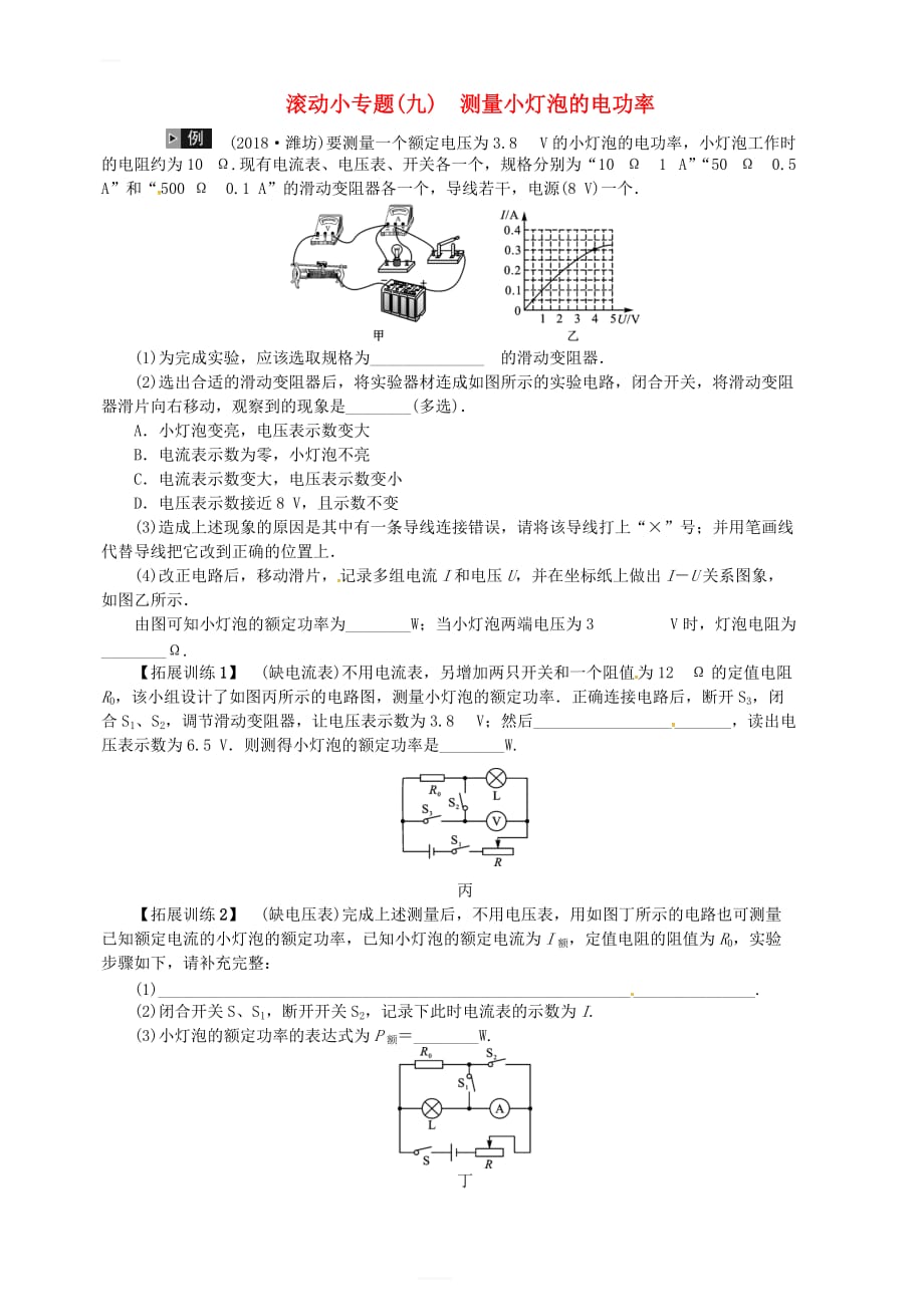 2019年中考物理总复习小专题（九）测量小灯泡的电功率习题_第1页