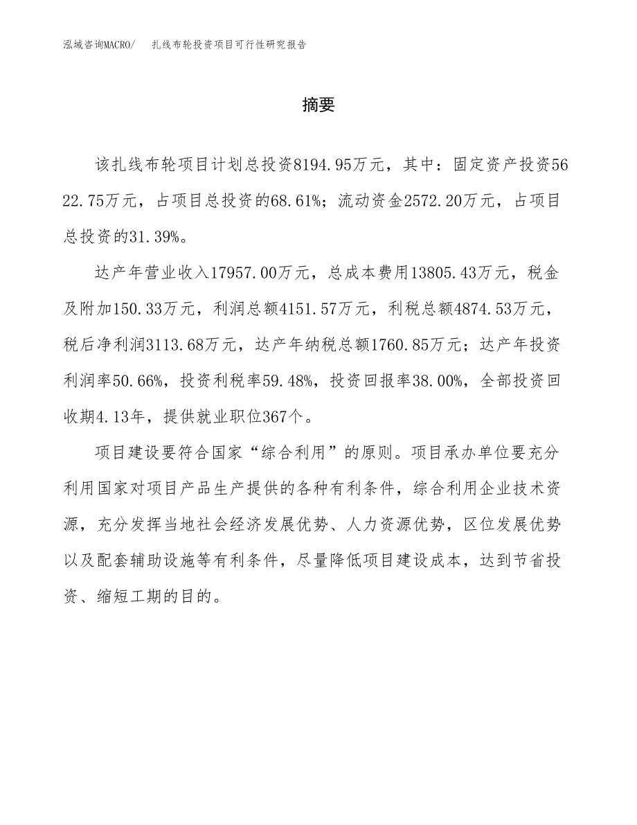 扎线布轮投资项目可行性研究报告（总投资8000万元）.docx_第2页