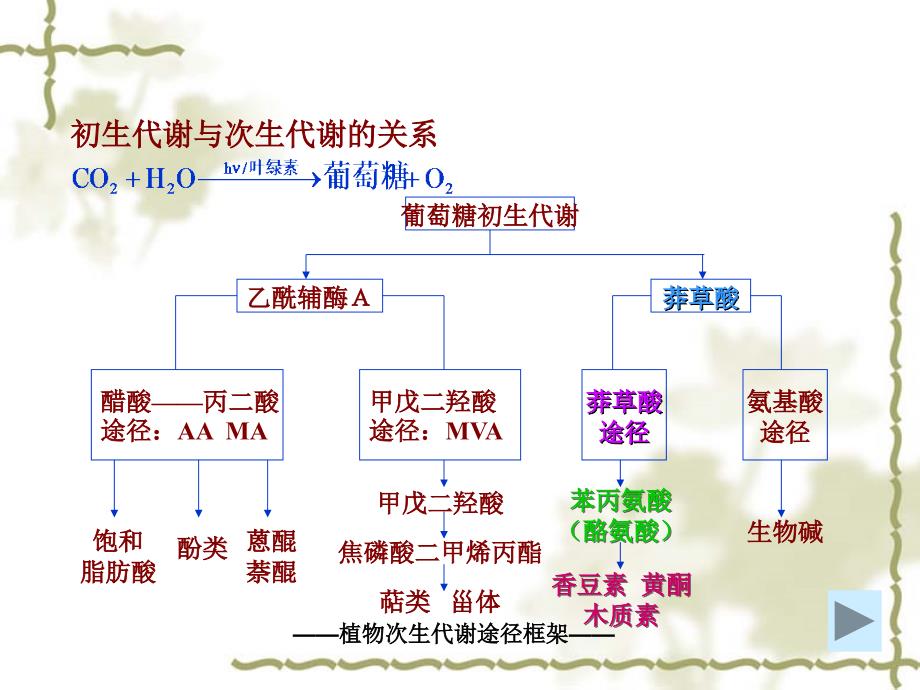 莽草酸途径 刘延吉_第2页