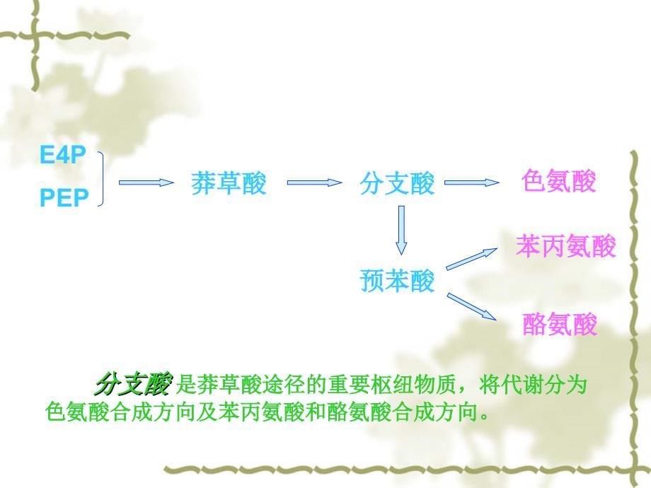 莽草酸途径 刘延吉_第5页