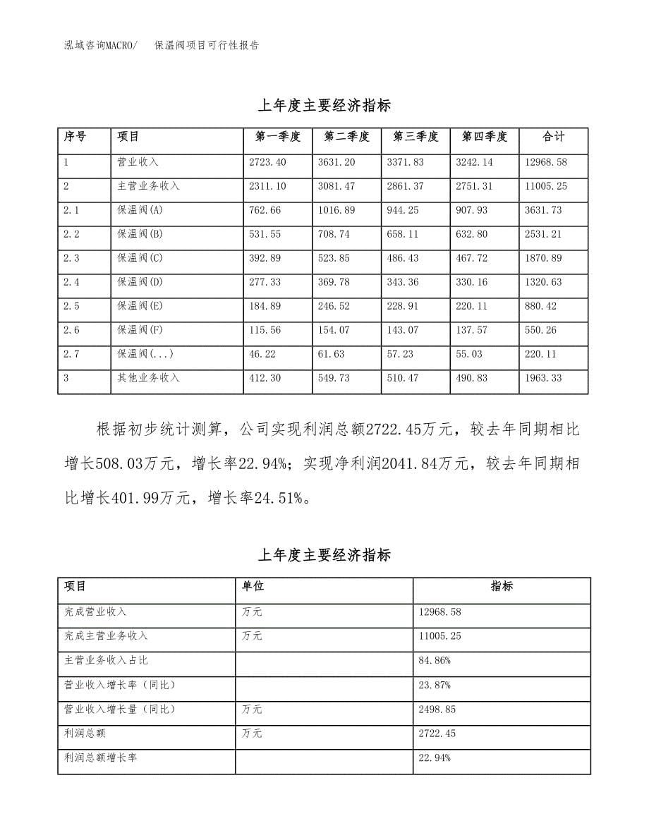 保温阀项目可行性报告范文（总投资7000万元）.docx_第5页