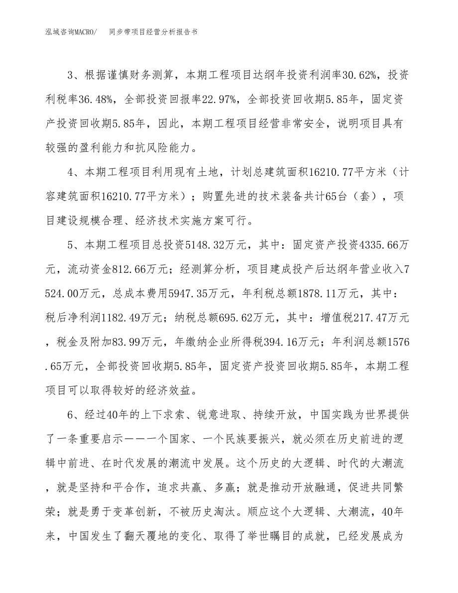 同步带项目经营分析报告书（总投资5000万元）（22亩）.docx_第5页