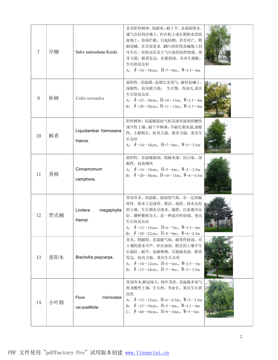 重庆常用植物规格清单_第2页