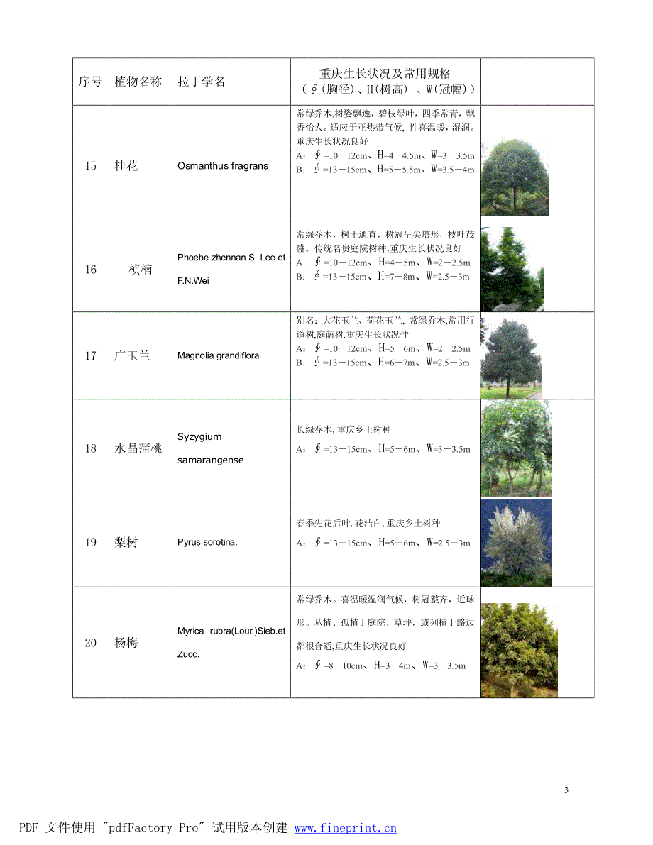 重庆常用植物规格清单_第3页