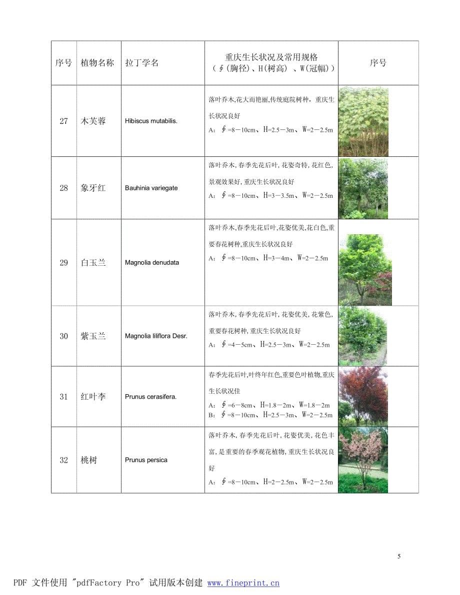 重庆常用植物规格清单_第5页