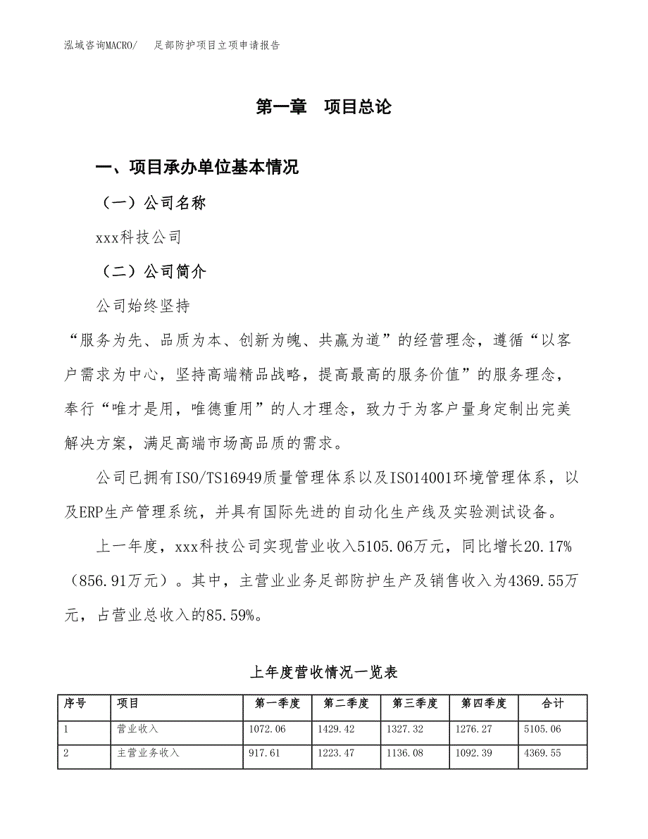 足部防护项目立项申请报告范文模板.docx_第2页