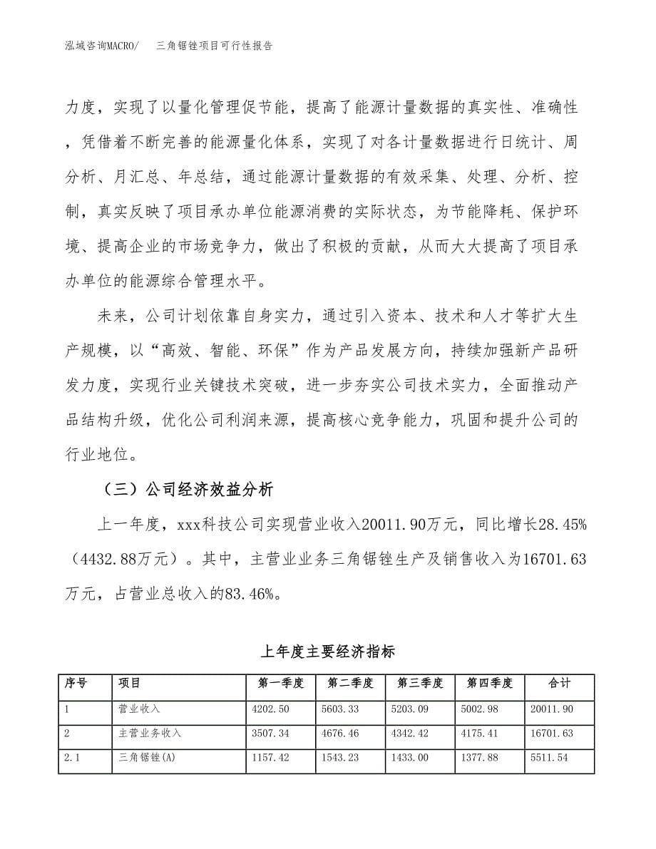 三角锯锉项目可行性报告范文（总投资16000万元）.docx_第5页